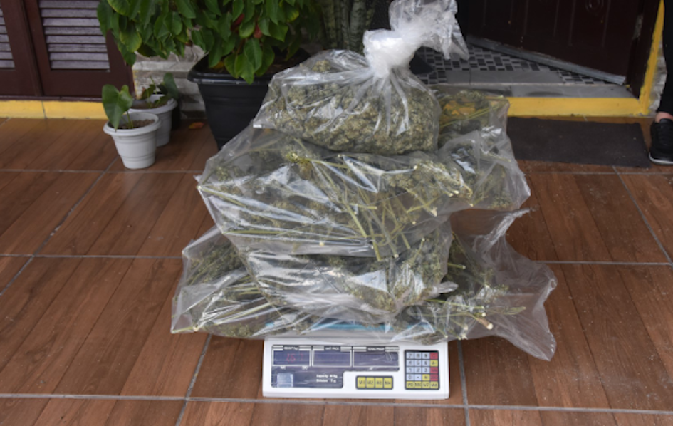 Pesaje de alguna de las bolsas incautadas de marihuana Marihuana incautada pesada
