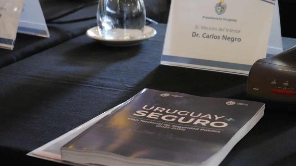 Plan Nacional de Seguridad Pública 