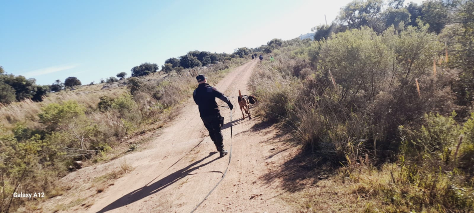 Sam, can de Equipo K-9 Sam, can de Equipo K-9