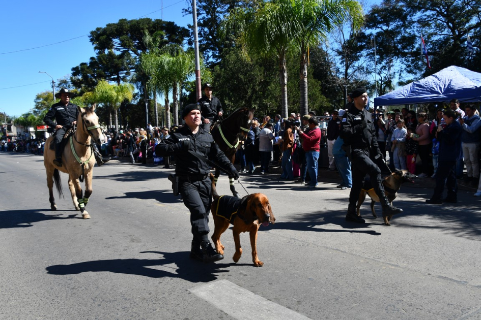 Sam, can de Equipo K-9 Sam, can de Equipo K-9