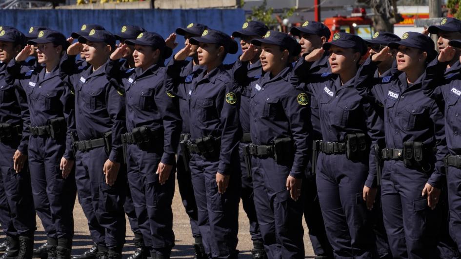 Agentes Agentes