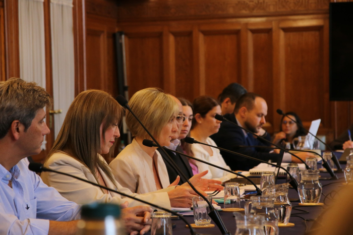  Ministerio del Interior presentó acciones ante la Comisión Bicameral de Salud Mental
