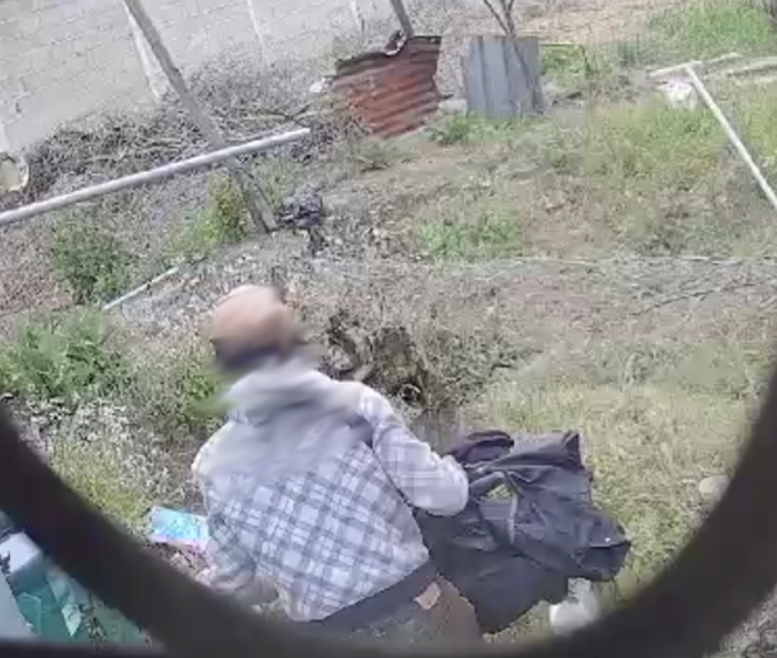 Autor de hurto en Ciudad del plata fue condenado con prisión