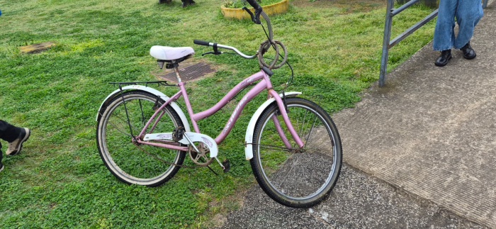 bicicleta hurtada y recuperada