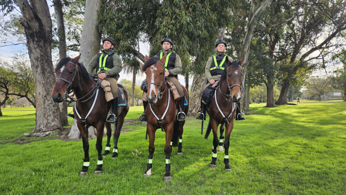 Patrulla de equinos