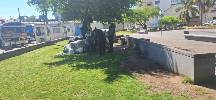 operativo calle operativo calle