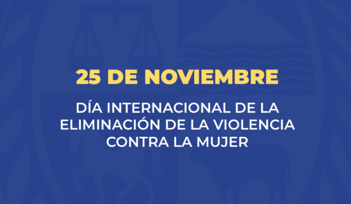 placa 25 N placa 25 N