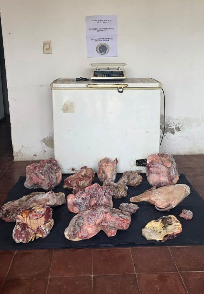 Condenado por faena clandestina Elementos incautados