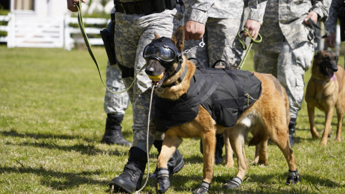 nuevo equipamiento K9 nuevo equipamiento K9