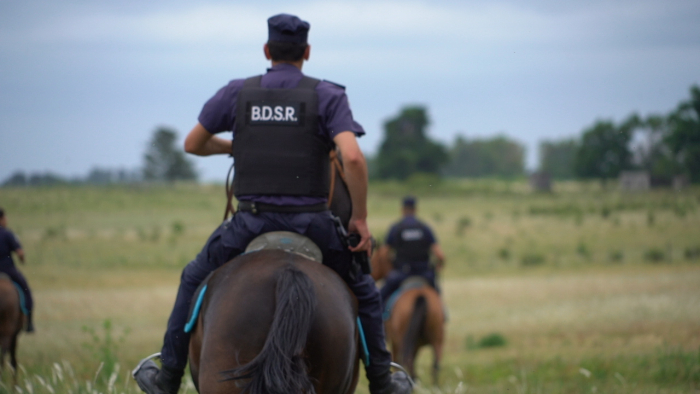 Imágen ilustrativa Policía en equino BDSR 