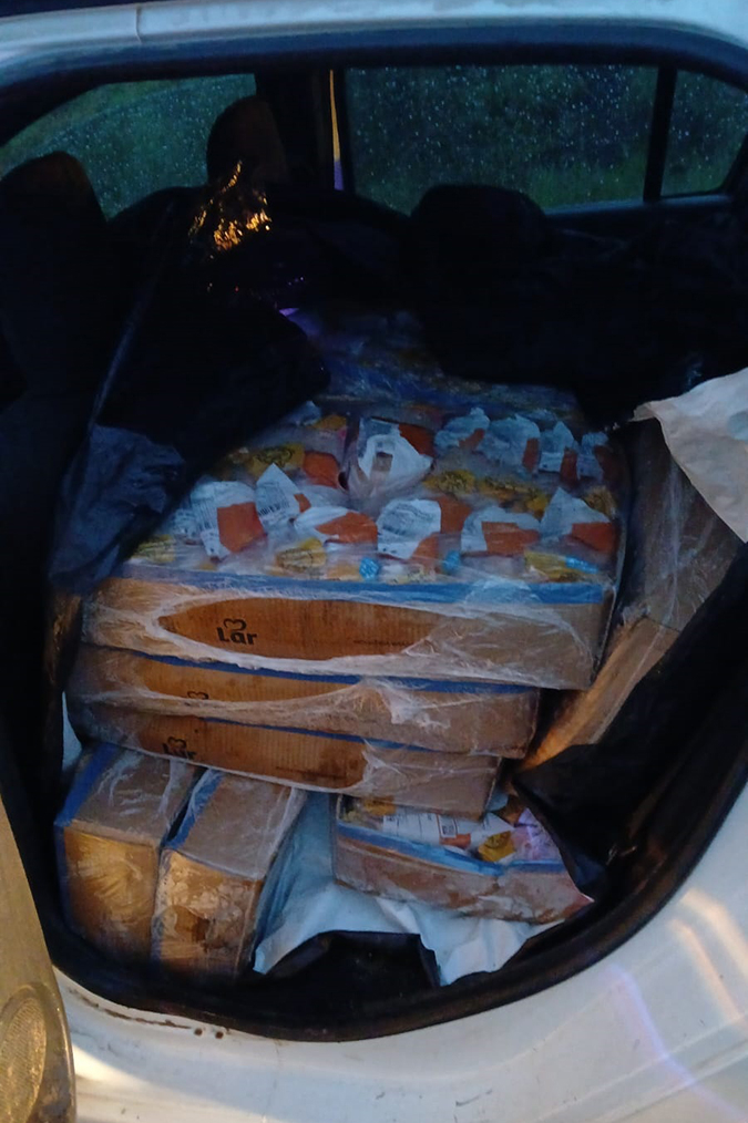 Cajas con pollo en banco trasero de automóvil