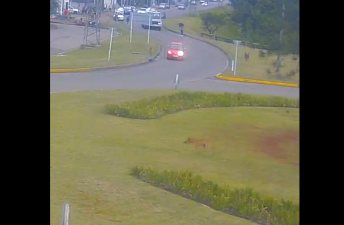 un hombre cruzando la calle cargando un bulto al hombro 