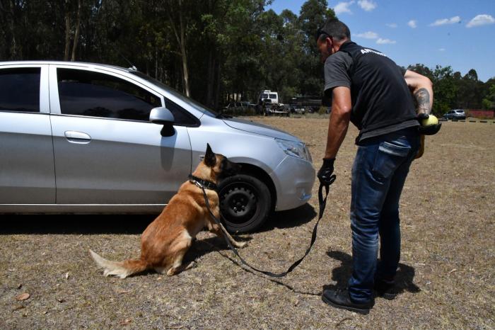 Policía con perro Cooper