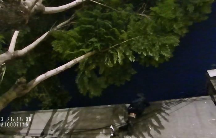 hombre bajando desde el techo de una vivienda hombre bajando desde el techo de una vivienda