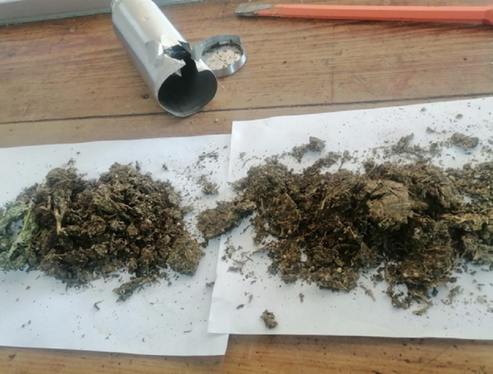 Marihuana incautada.