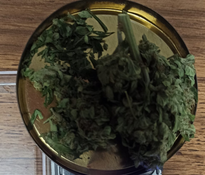 marihuana incautada en San José de Mayo