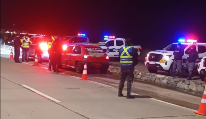 Inspeccion Vehicular Operativos