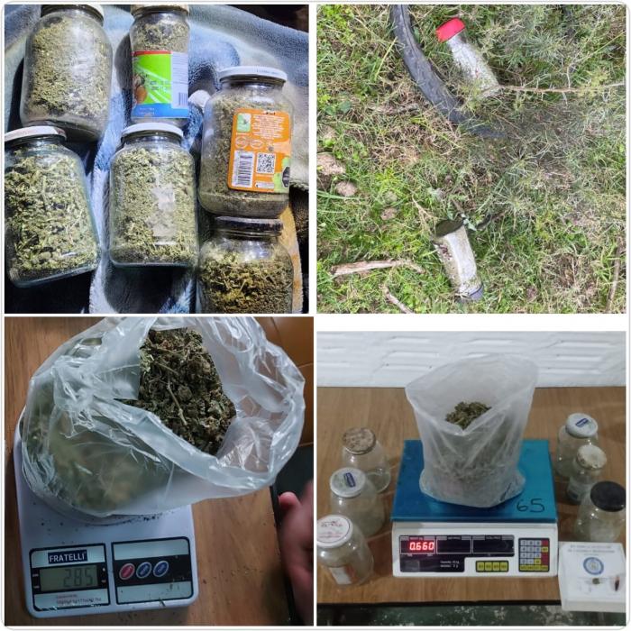 Frascos con marihuana incautada Frascos con marihuana incautada