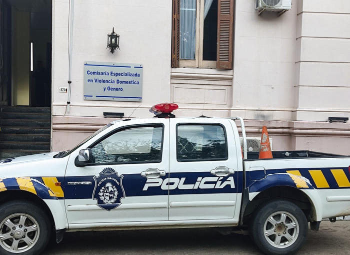 Violencia Doméstica y Género