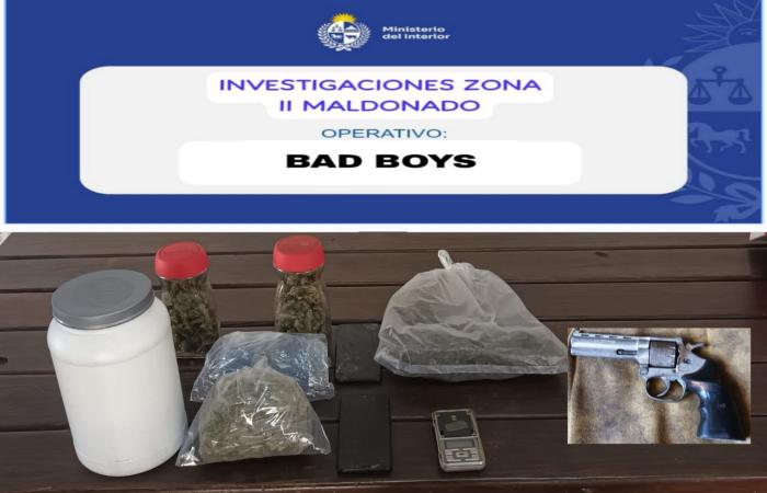 Incautaciones