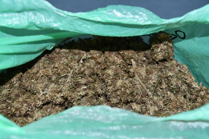 Bolsa conteniendo sustancia estupefaciente marihuana