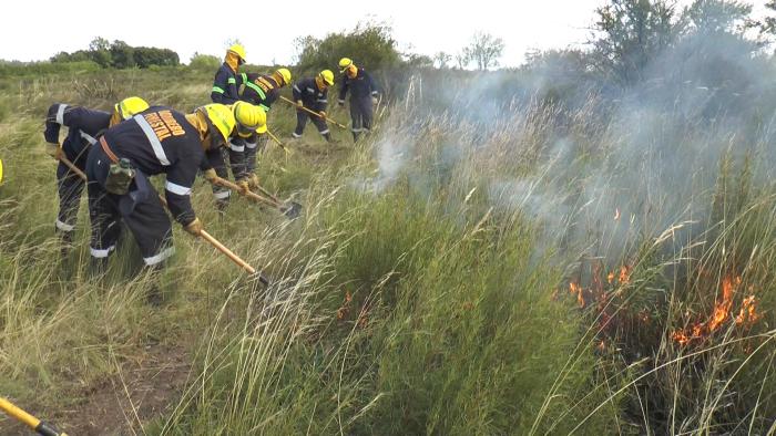 Incendio de patizales