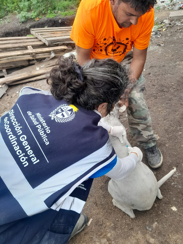 Veterinaria vacunando un perro veterinaria y una persona ayudando a vacunar un perro