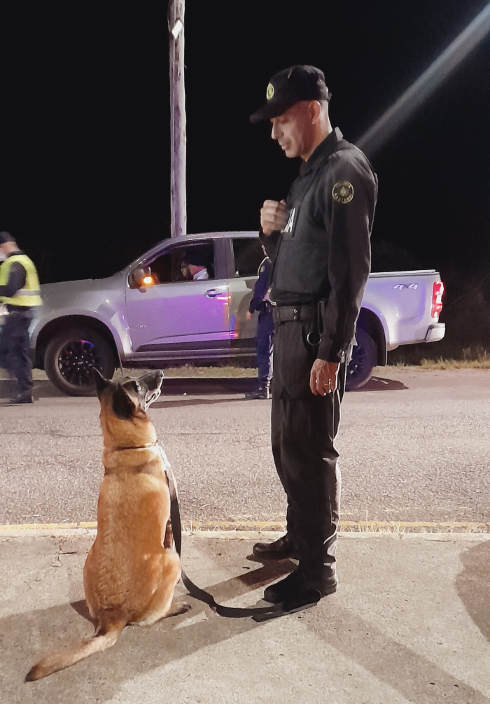 Equipo K-9