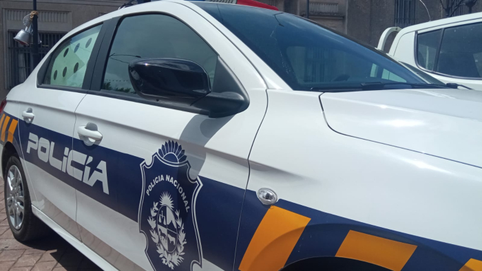 Lateral de móvil con ploter de policía y escudo lado izquierdo