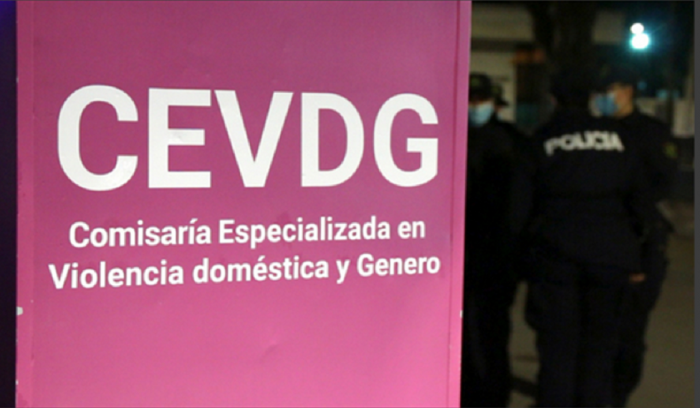 Cartel Comisaría Espacilizada en Violencia Doméstica y Género.