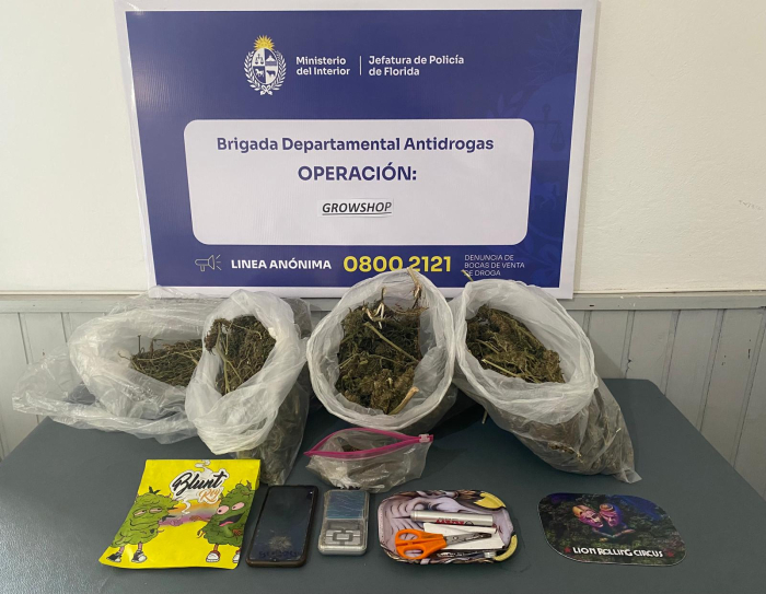 Incautación de Operación Growshop