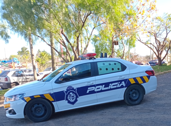 Condenado por disparo de arma de fuego y porte de arma
