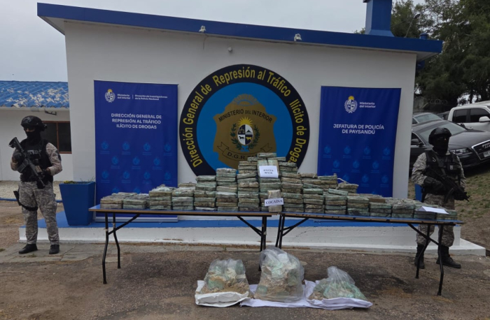 SINERGIA INCAUTACION SINERGIA INCAUTACION