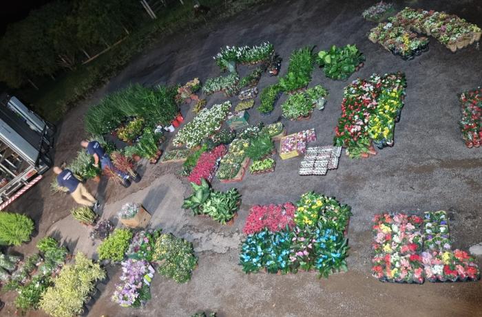Mercadería incautada