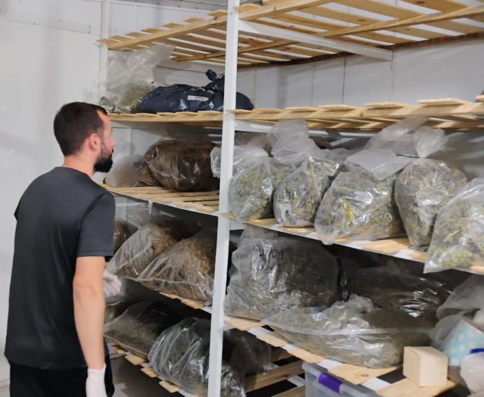 Operación Poseidón: más de 1.400 kilogramos de marihuana incautados en Colonia