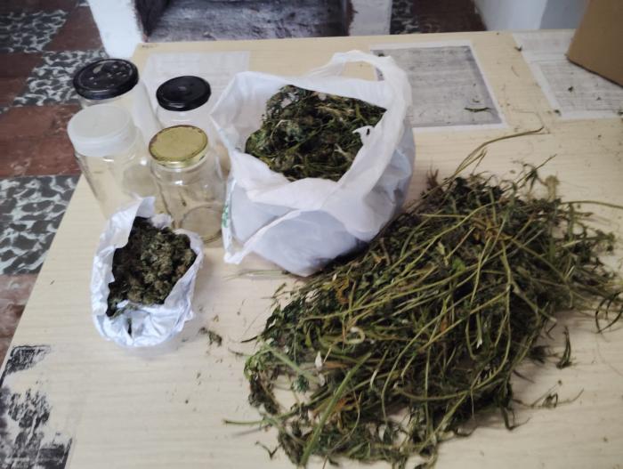 Marihuana incautada