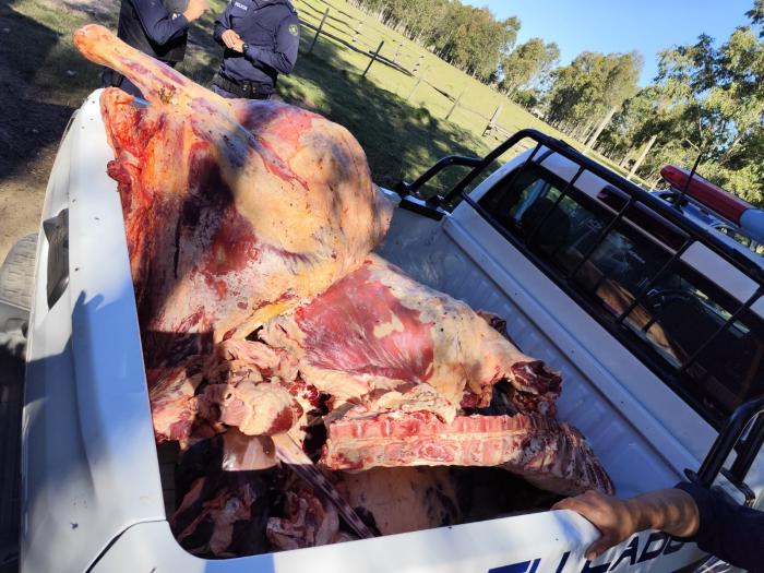 Parte de la carne incautada.
