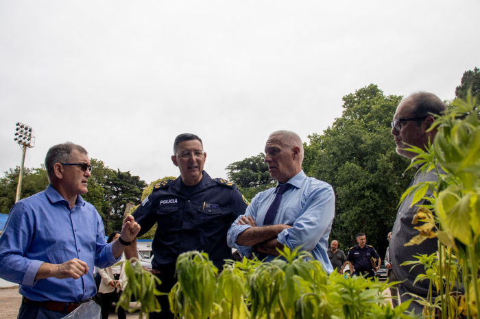 Trabajo de la DIPN permitió la incautación de más de $250.500.000 por lavado de activos y otros deli