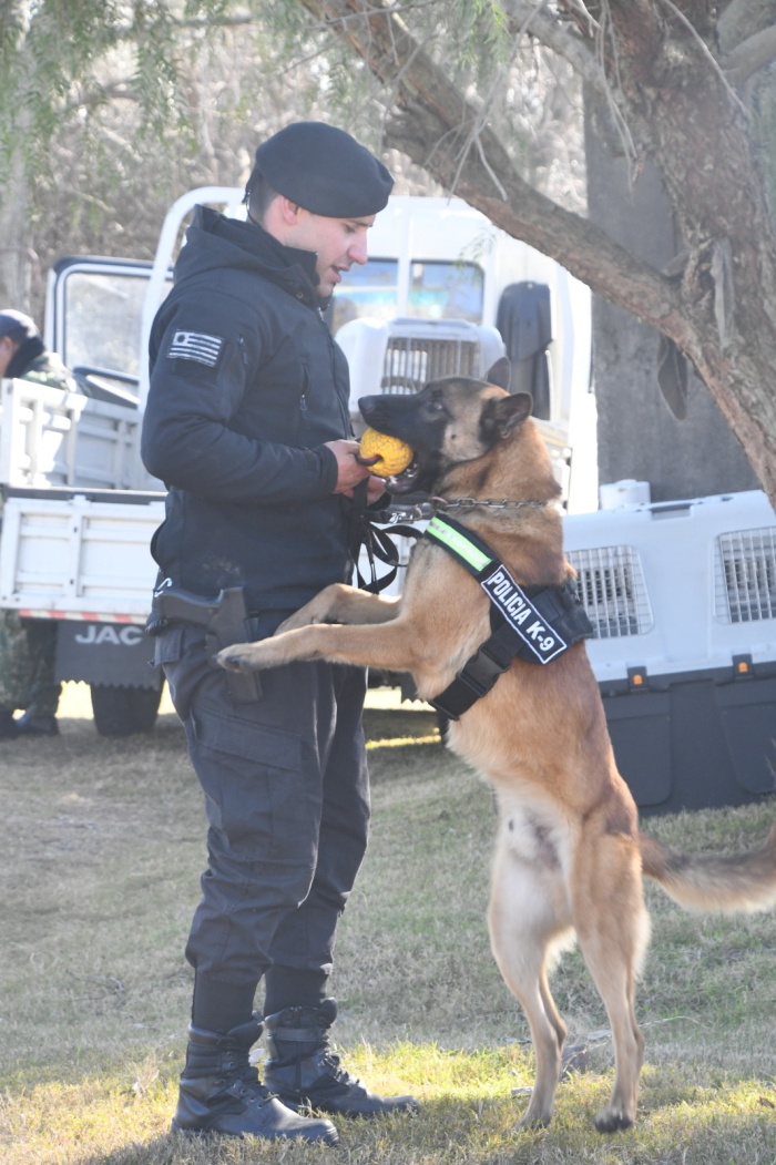 Entrenamiento y vínculo entre guía y can policial Un guía policial interactúa con su can K9 durante una jornada de entrenamiento