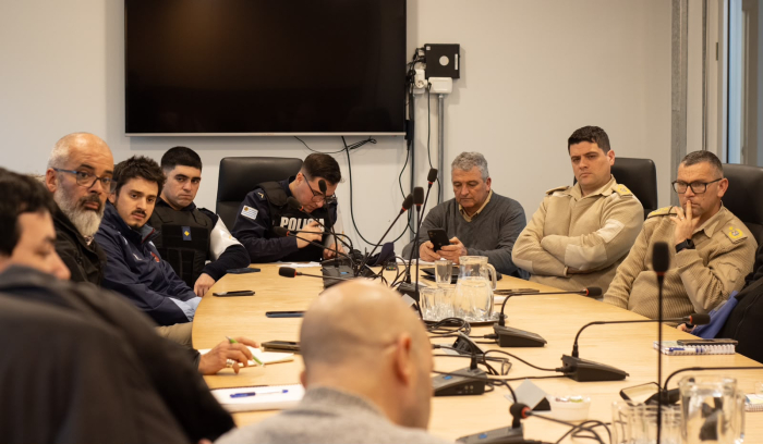 Referentes de instituciones en la reunión 