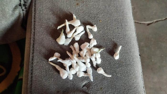 Dosis de cocaína Dosis de cocaína