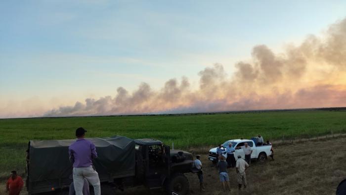 Incendio de campo en pueblo de Artigas. Incendio de campo en pueblo de Artigas.