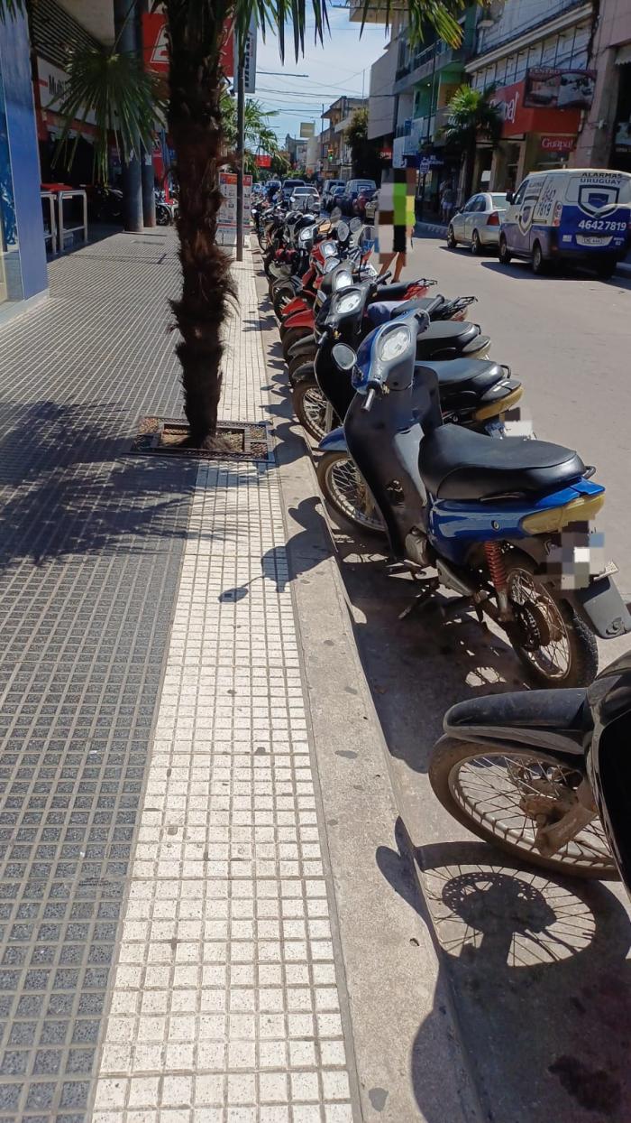 parate de la zona en estudio.