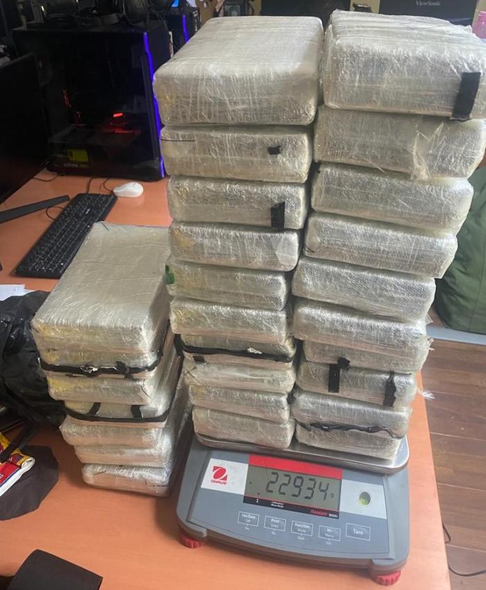 Parte de los ladrillos incautados.