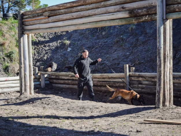 II Encuentro Nacional de Perros Detectores y de Trabajo