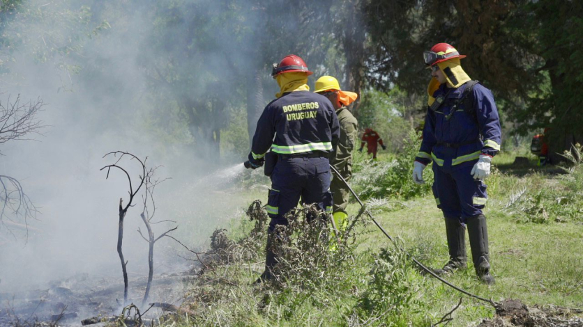 bomberos combatiendo incendio durante el simulacro bomberos combatiendo incendio durante el simulacro