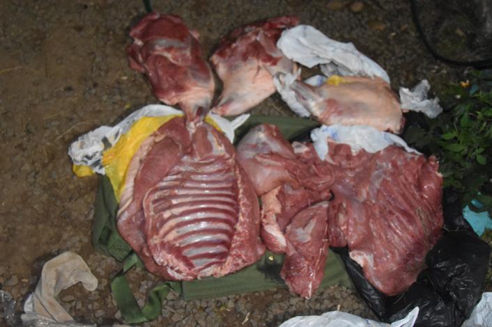 Carne de carpincho incautada.