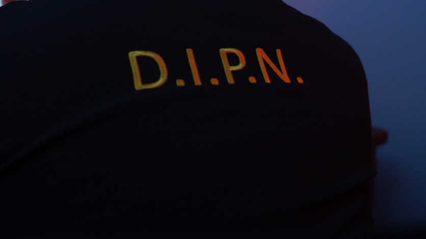 efectivo de la DIPN