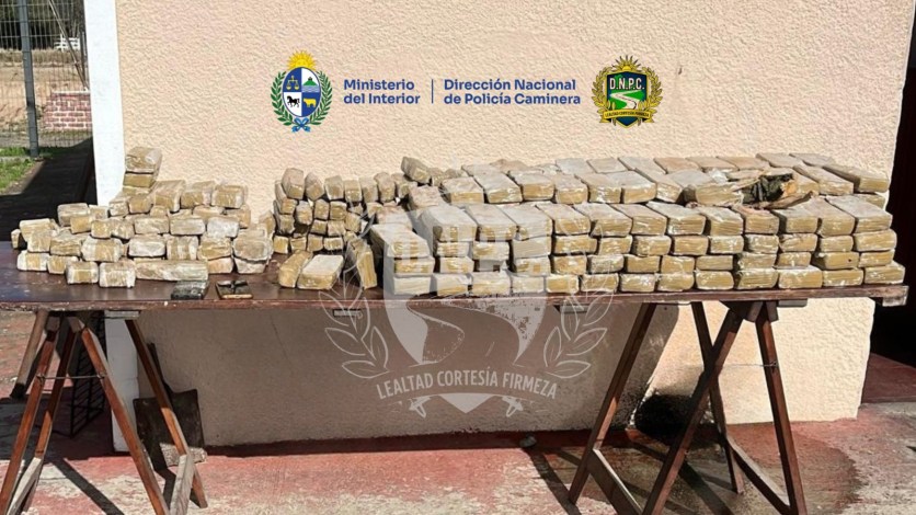 Se incautaron 153 kilos de sustancia vegetal