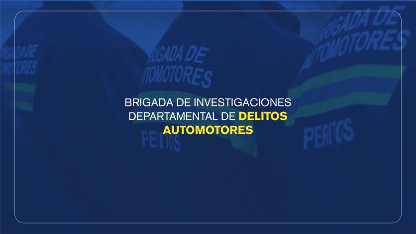 Imagen genérica BRIDDA